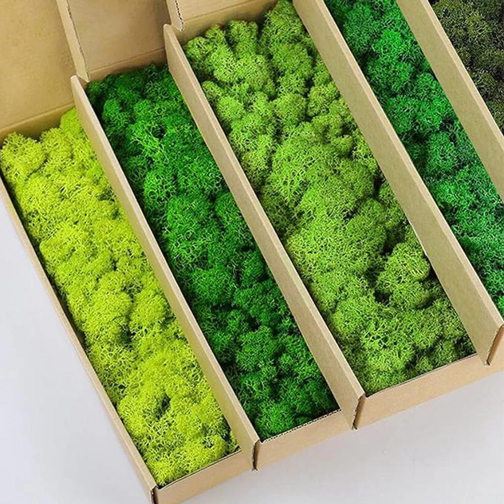 Terrarium Moss Art - 20-200g Kunstmatige Groene Planten Nep Gras