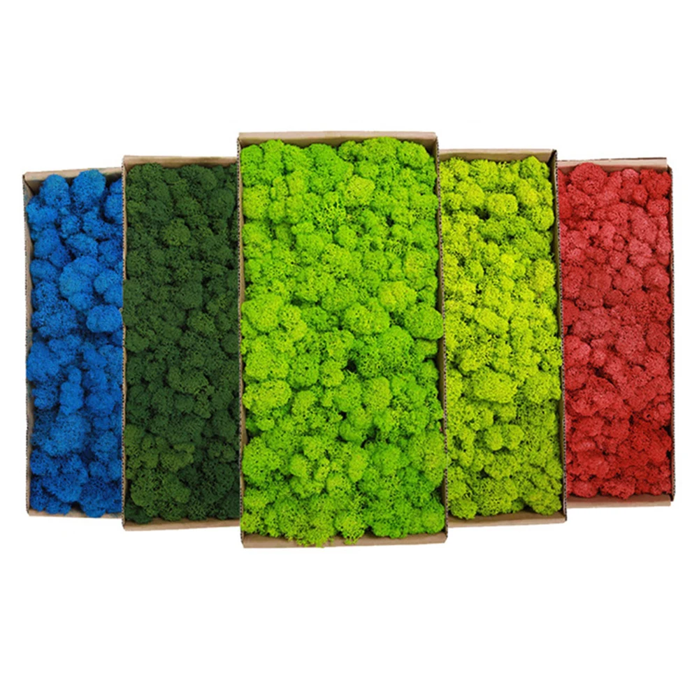 20-200g Kunstmatige Groene Pla - Terrarium Moss Art recensie en prijs