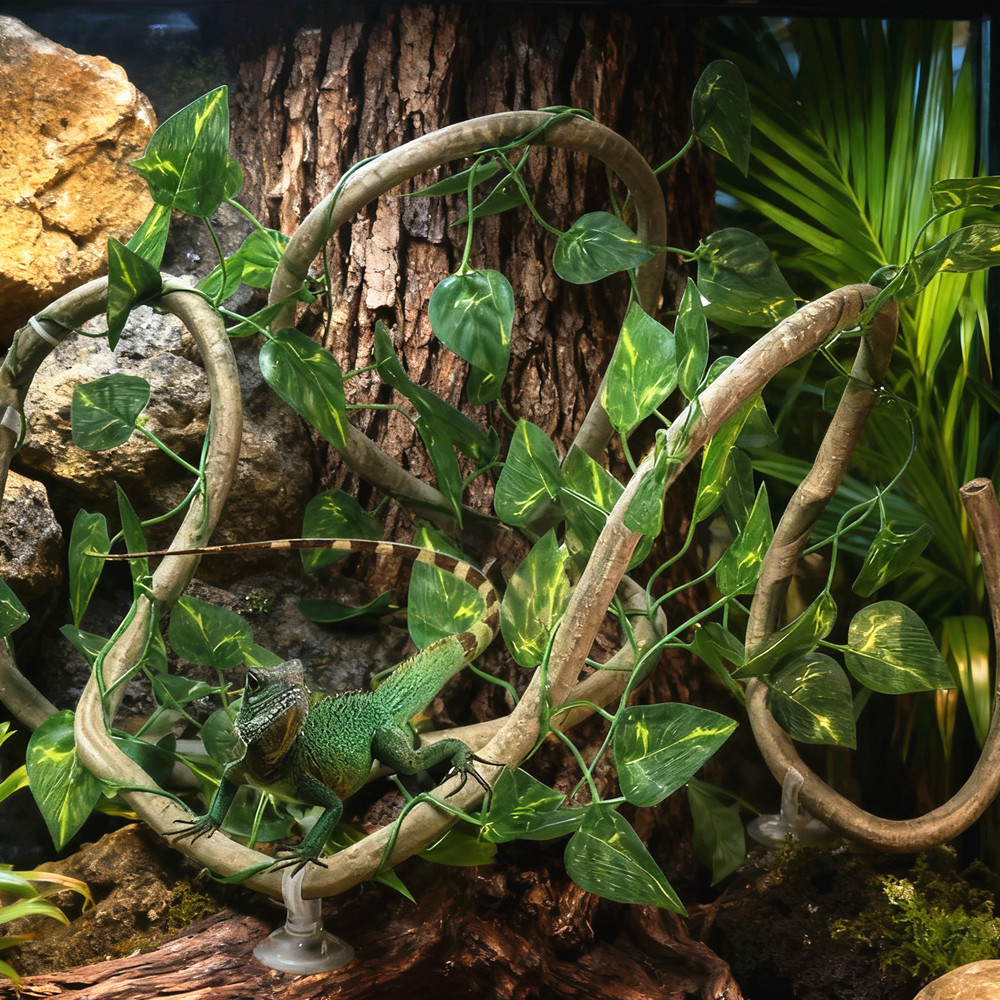Voor Hagedissen Terrarium Tank - Terrarium Moss Art recensie en prijs