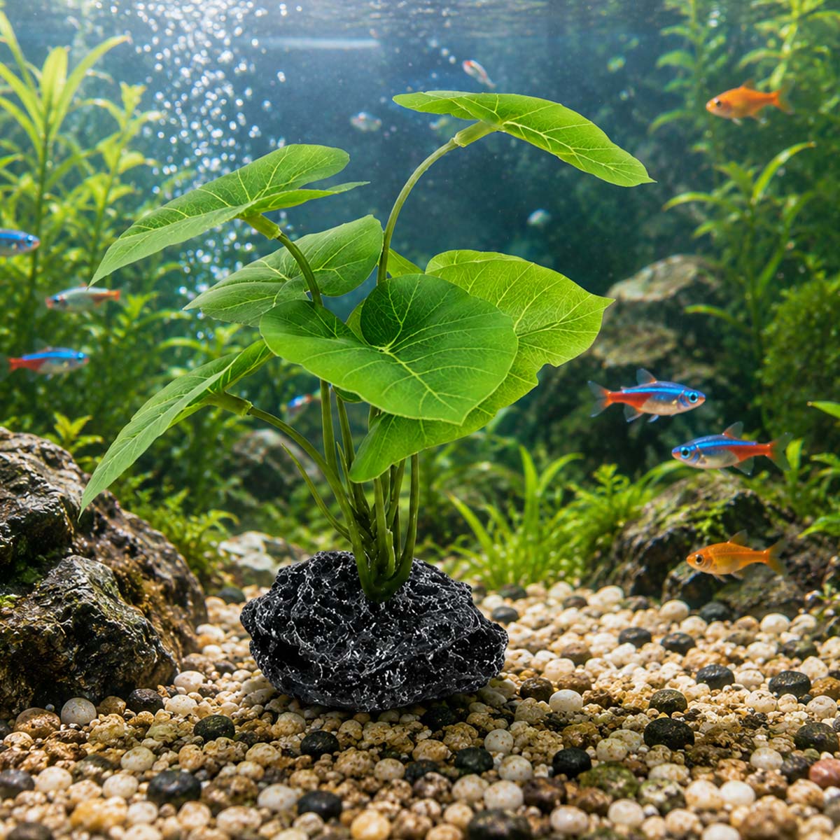 1 stuk aquariumsimulatieplant, - Terrarium Moss Art recensie en prijs