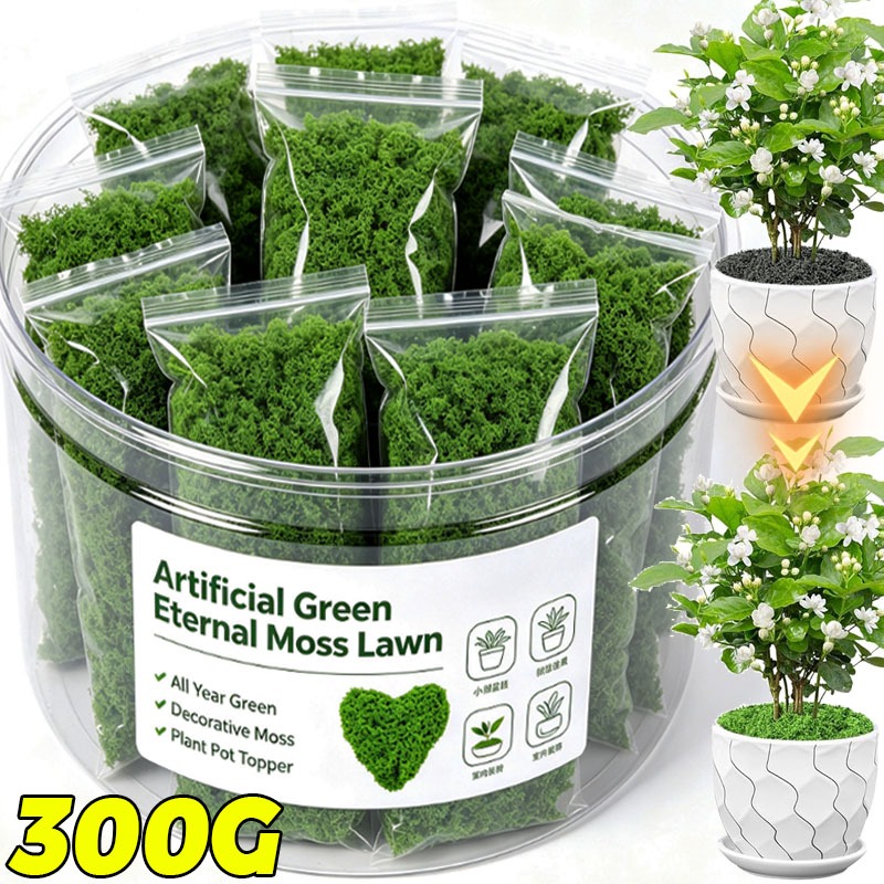 Kunstmatige groene planten Eeu - Terrarium Moss Art recensie en prijs